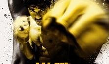 在线观看激战,在线观看，热血竞技巅峰对决