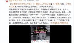 王鑫磊知情人爆料视频是真的吗,王鑫磊知情人爆料视频真实性揭秘