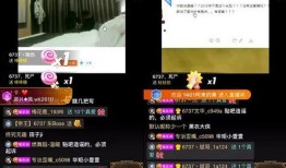 粤东事件爆料视频大全集,揭秘真相与争议