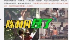 仙舟周本爆料视频完整版,揭秘游戏幕后故事与精彩瞬间